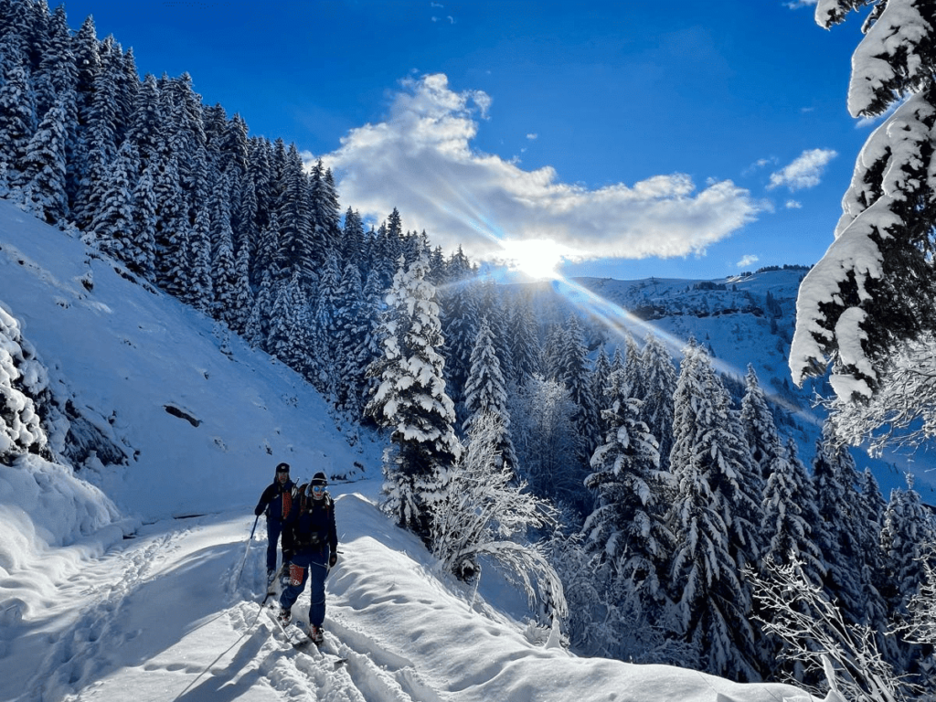 2 skieurs de randonnée, à la montée, dans la neige poudreuse et une forêt enneigée