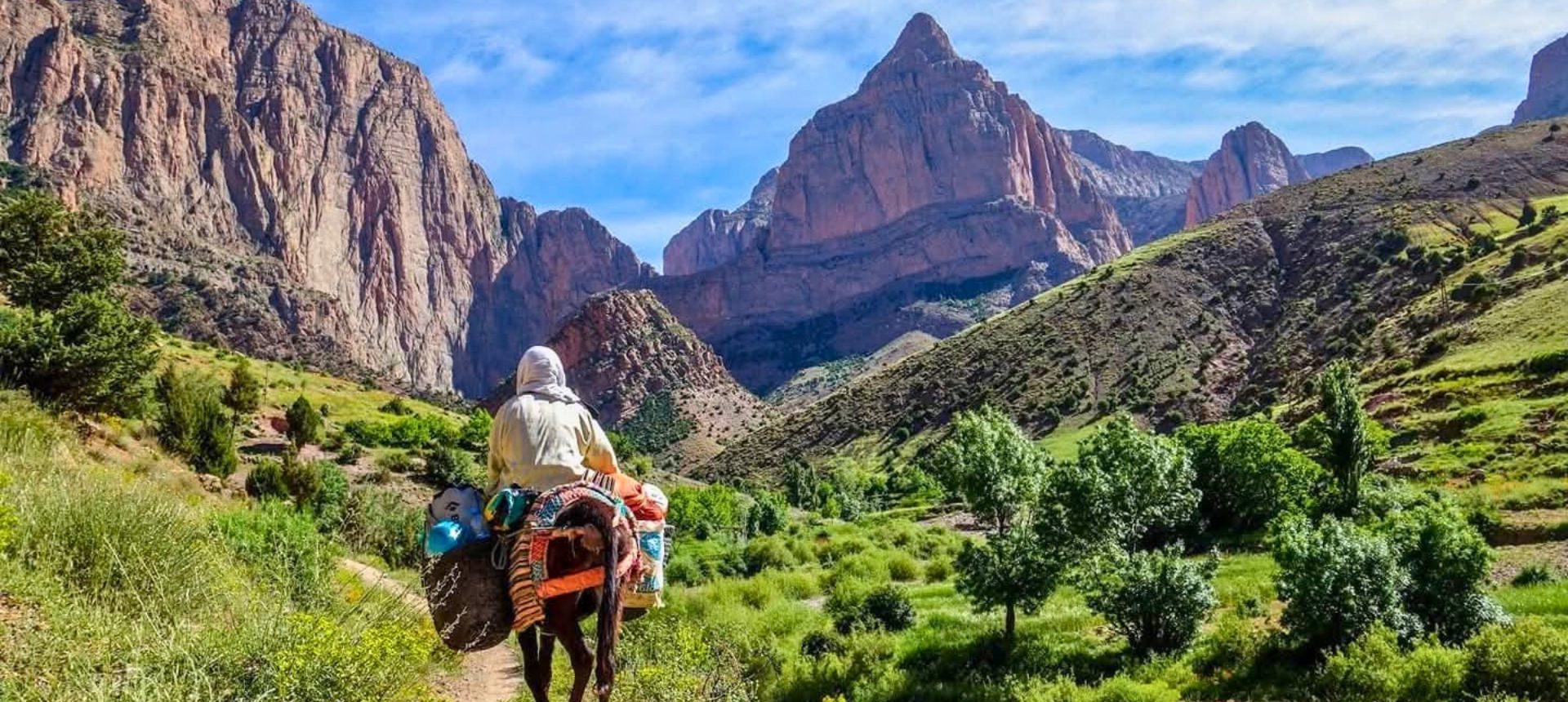 paysage marocain entre terre rouge et herbe avec un porteur et son âne