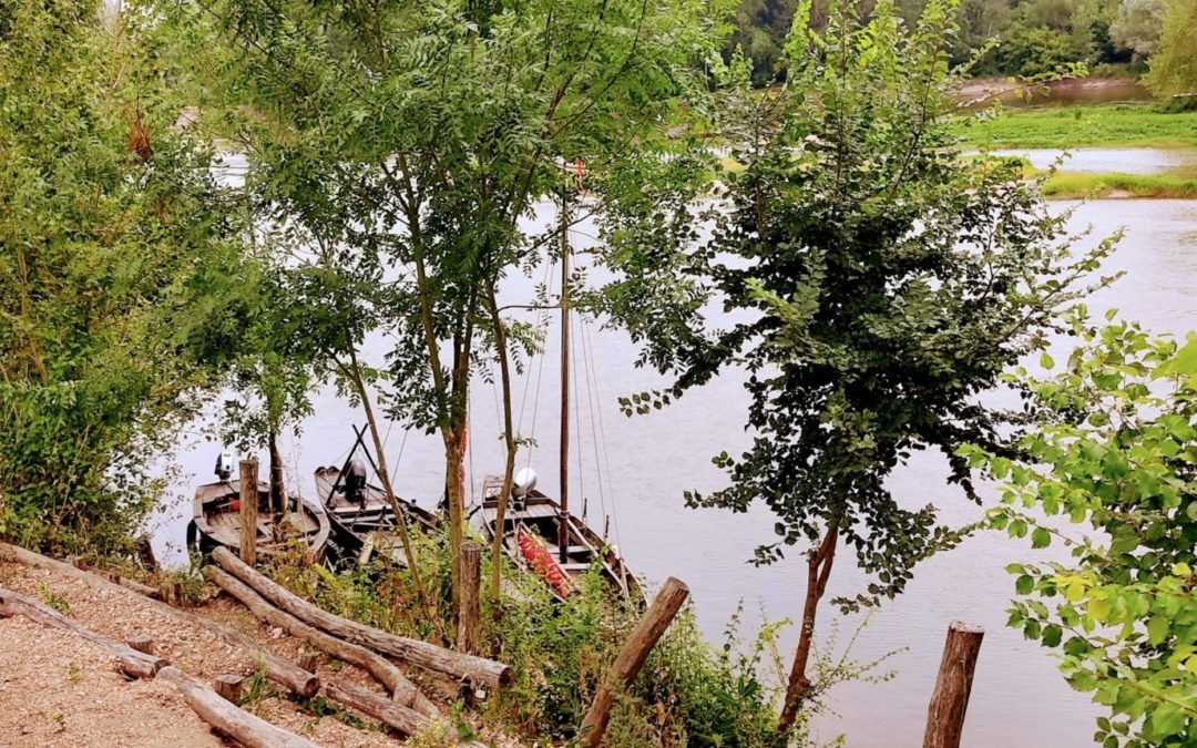 Bateaux arrimés sur le bord d'un fleuve
