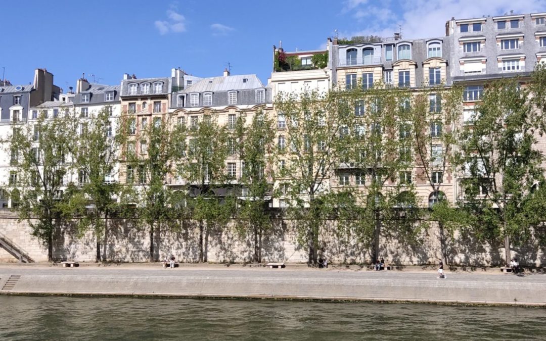 Bord d'un fleuve avec des arbres et des habitation