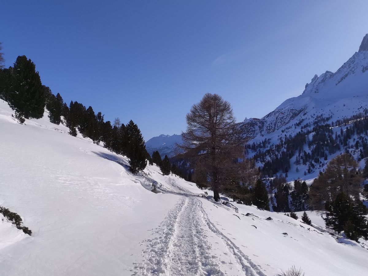 Virginie Vous emmène sur les sentiers enneigés