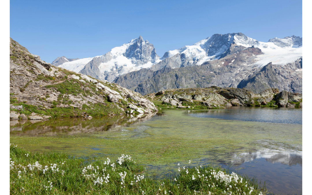 Queyras / Ecrins : Quel massif choisir pour votre groupe ?