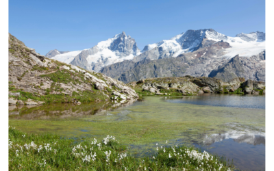 Queyras / Ecrins : Quel massif choisir pour votre groupe ?