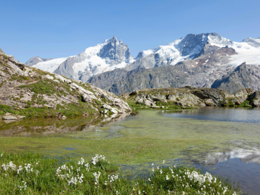 Queyras / Ecrins : Quel massif choisir pour votre groupe ? Queyras / Ecrins : Quel massif choisir pour votre groupe ?