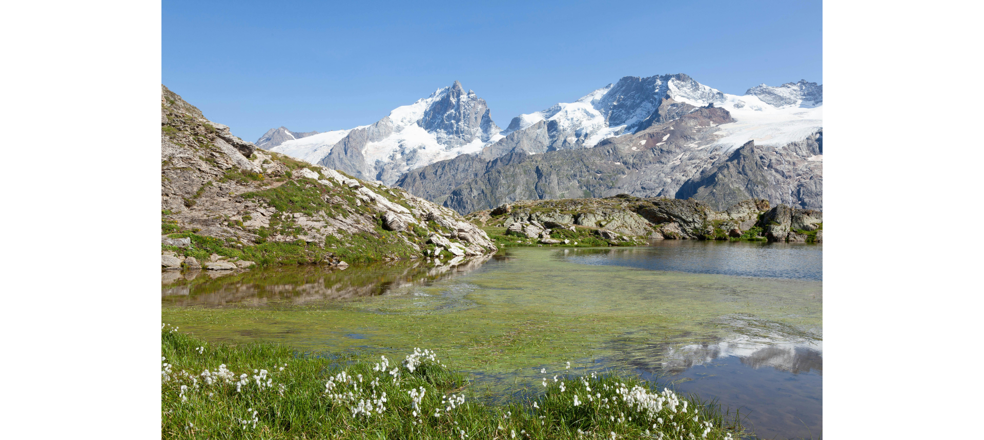 Vue sur les glaciers de la Meije dans les Ecrins depuis le plateau d'Emparis