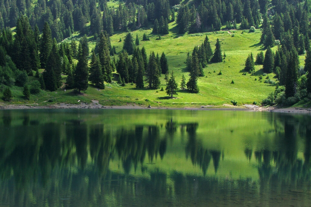 Le lac des Chavonnes est bordé de sapins