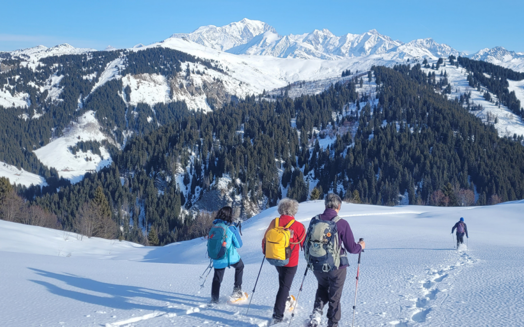 4 raquetteurs descendent une large pente avec une vue magnifique sur la chaine du Mont Blanc