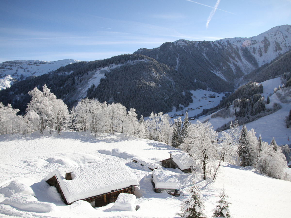 Un chalet et des dépendances vue de dessus avec les sommets enneigés et leurs forêts au loin