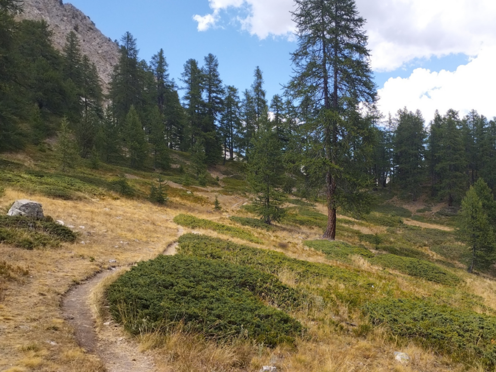 sentier tranquille qui longe le Torrent qui remonte vers Nevache