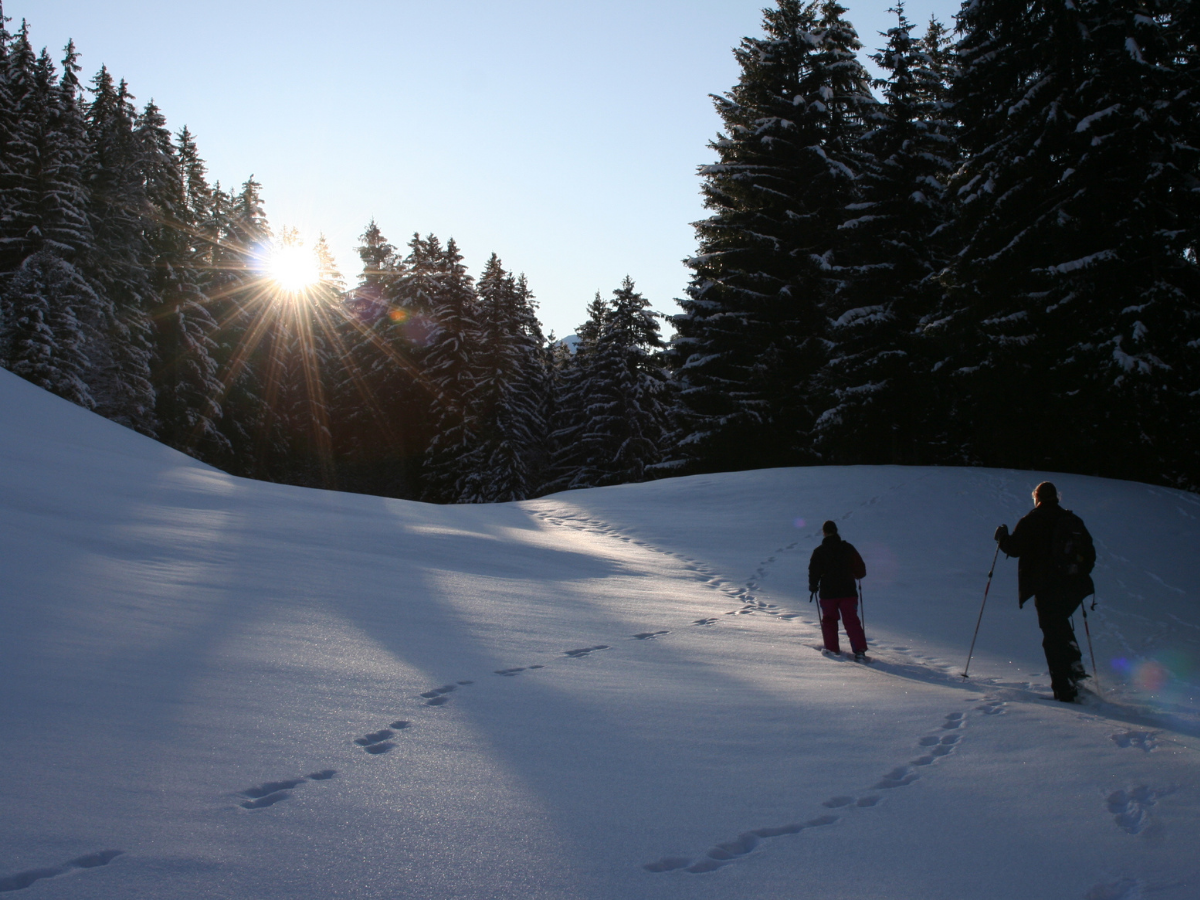 Deux randonneurs avancent dans le neige alors que le soleil se couche derrière les sapins