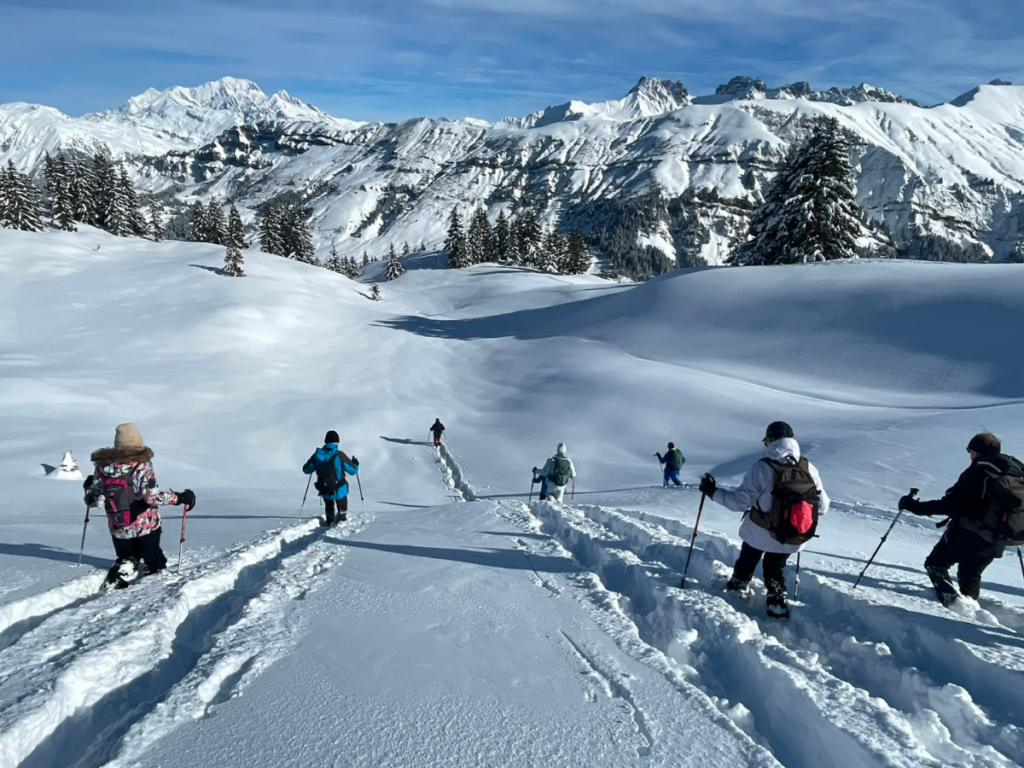 Descente dans la neige fraiche en raquettes ou chaque randonneur fait sa propre trace
