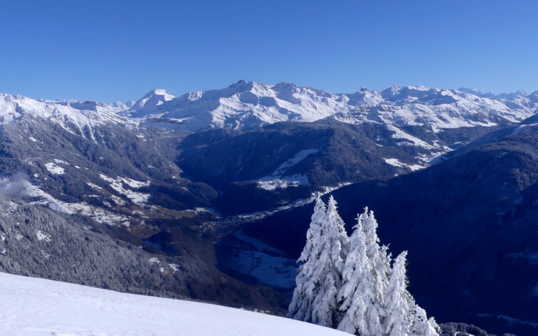 vue sur massif du Beaufortain et Beaufort en fond de vallée