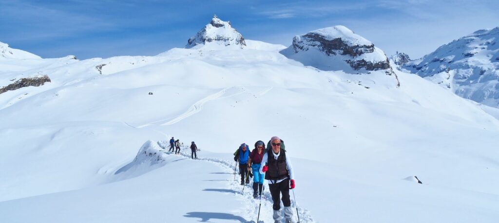 Groupe de randonneurs en raquettes à neige