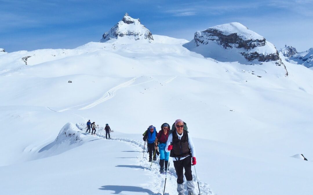 Groupe de randonneurs en raquettes à neige