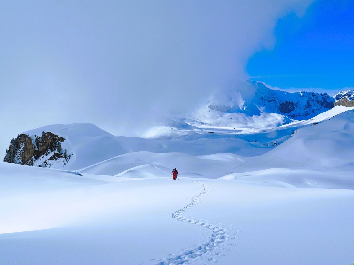Balade hivernale en raquettes à neige