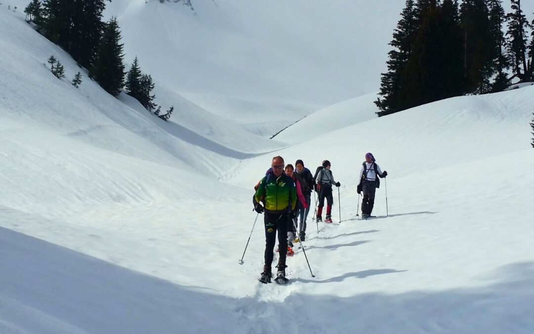 un groupe de personnes marche en raquettes dans un vallon enneigé