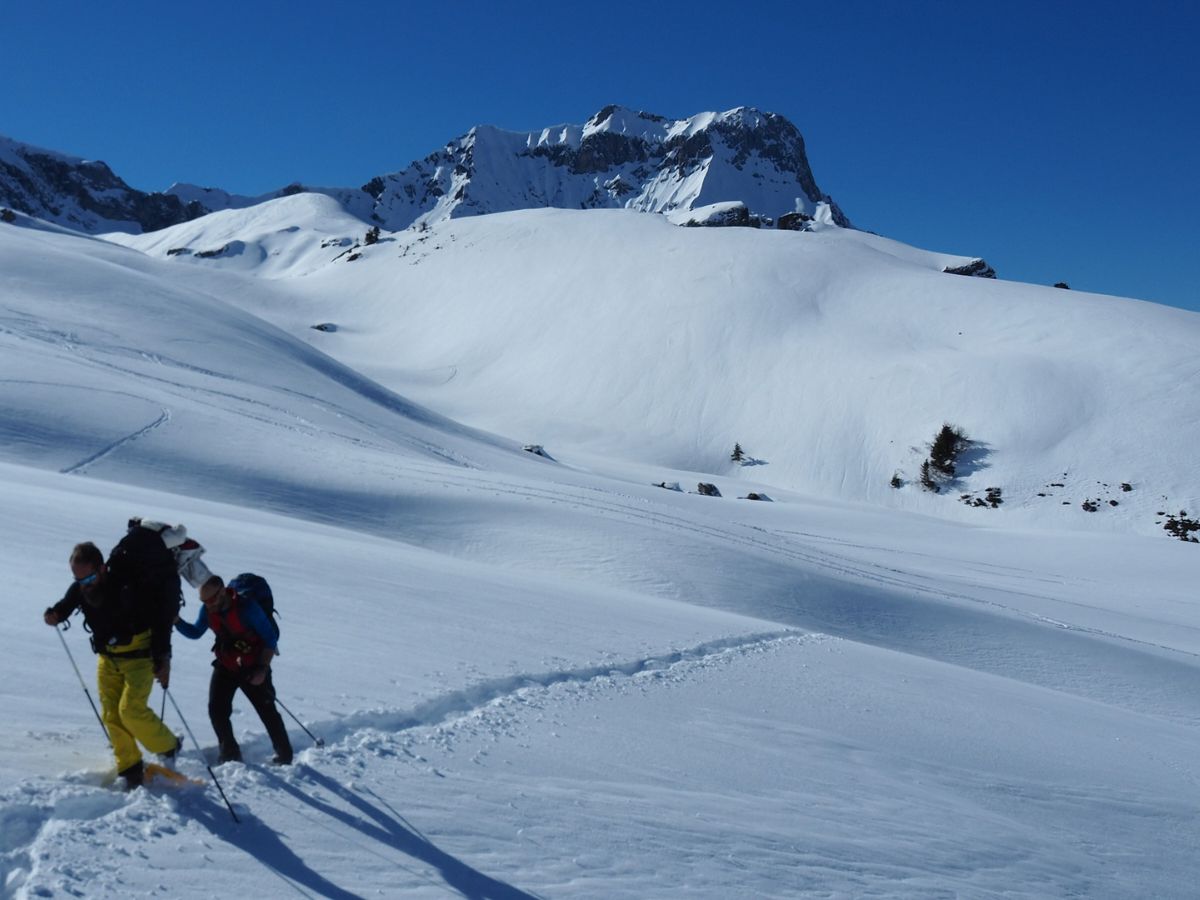 l'hiver la randonnée en raquettes