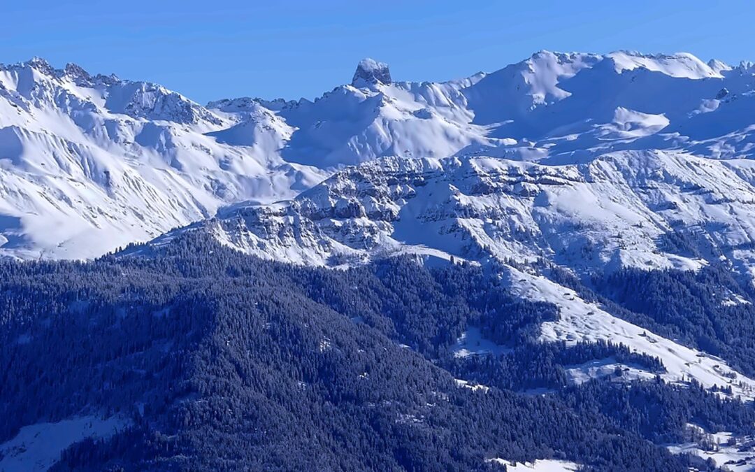 Sommets enneigés du Beaufortain dominés par la dent rocheuse de la Pierra Menta, au dessus des forêts de sapins sous un ciel bleu limpide