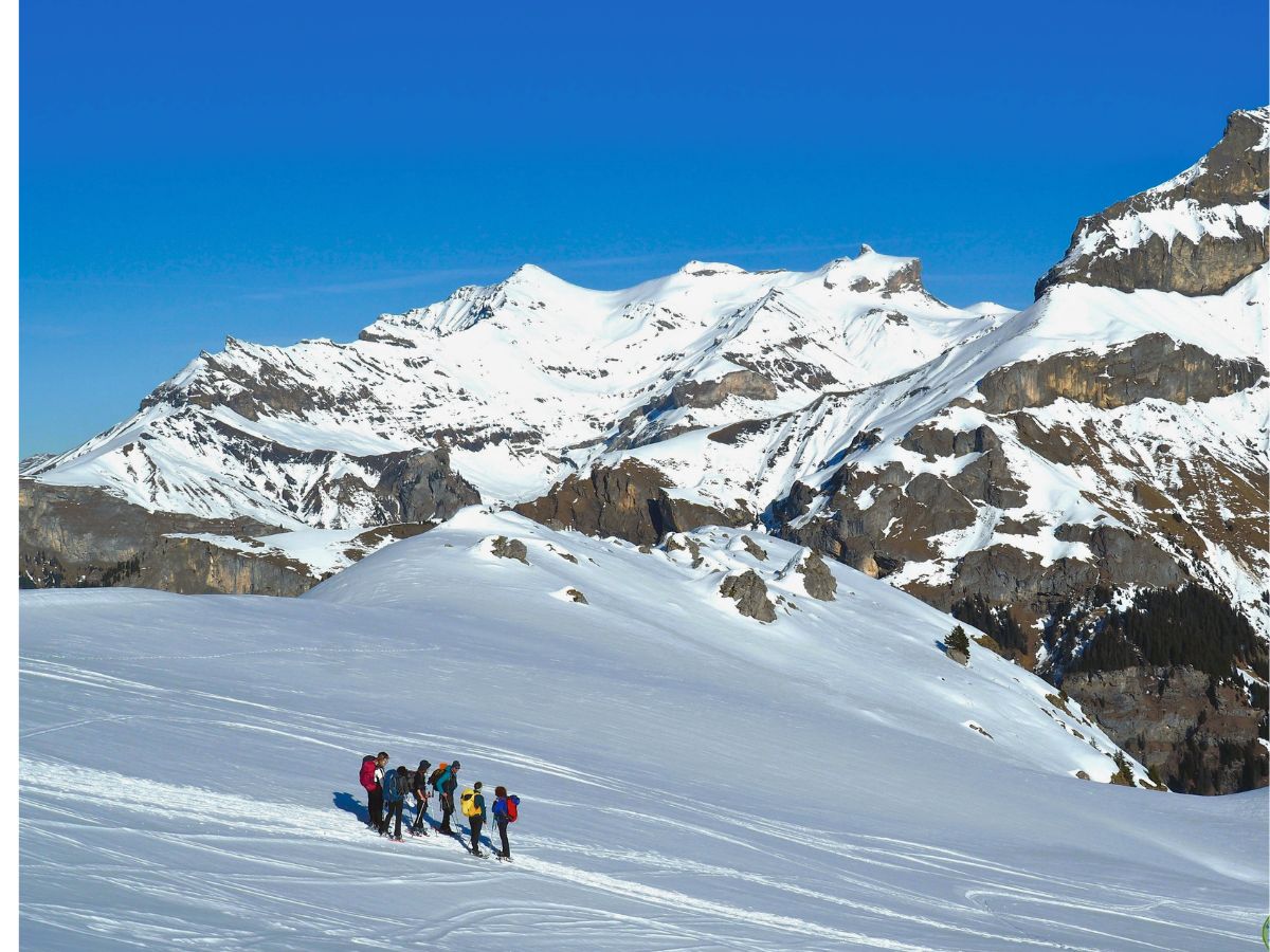 sommet d'oberland avec des randonneurs en raquettes