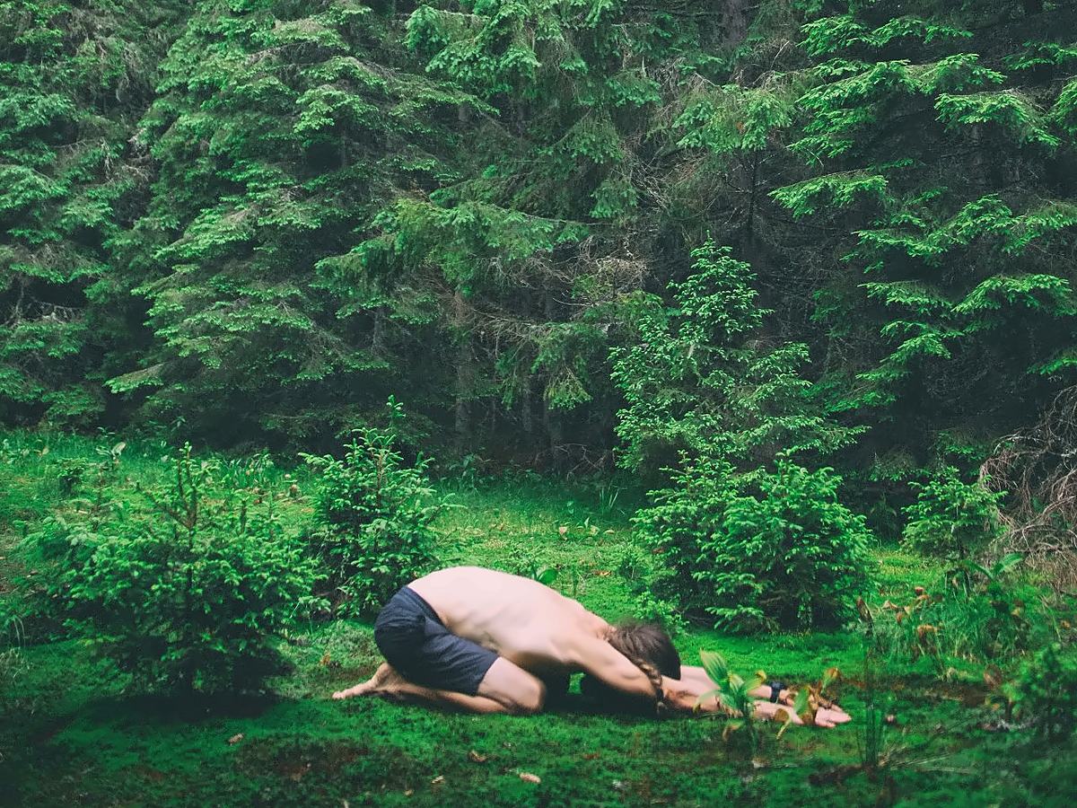 Personne torse nu en posture de l’enfant sur un tapis de mousse verte, au cœur d’une forêt de grands sapins dense et paisible