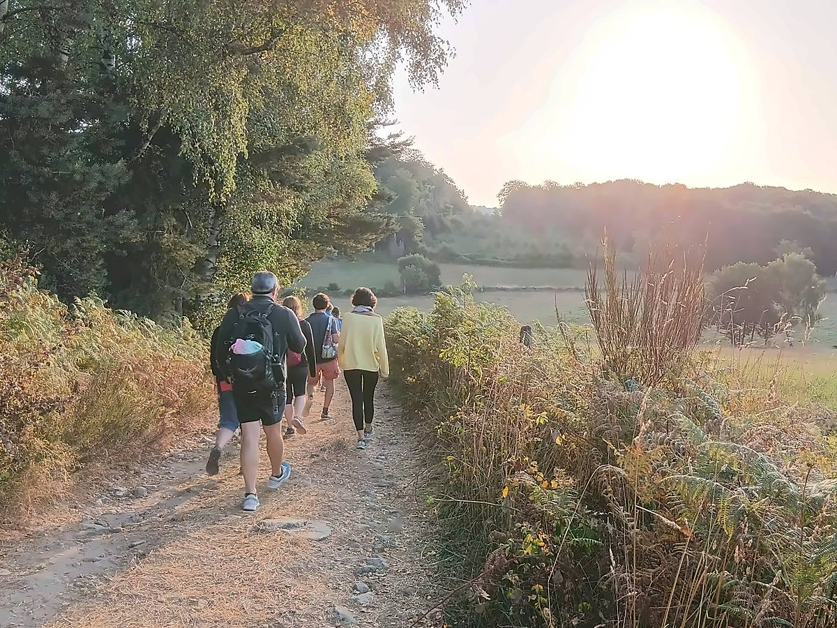 Groupe de randonneur marche méditative en sous bois sur un bon chemin